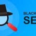 Black Hat SEO